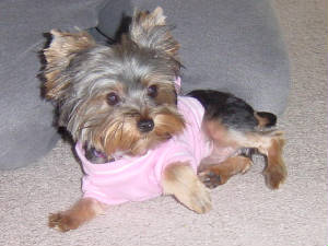autumnapril2005016.jpg