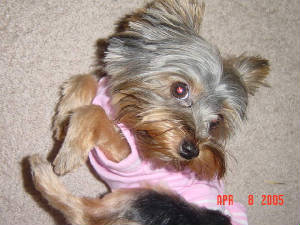 autumnapril2005019.jpg