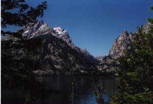 jacksonwy009.jpg