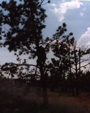 jacksonwy099.jpg