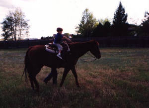 jacksonwy167.jpg